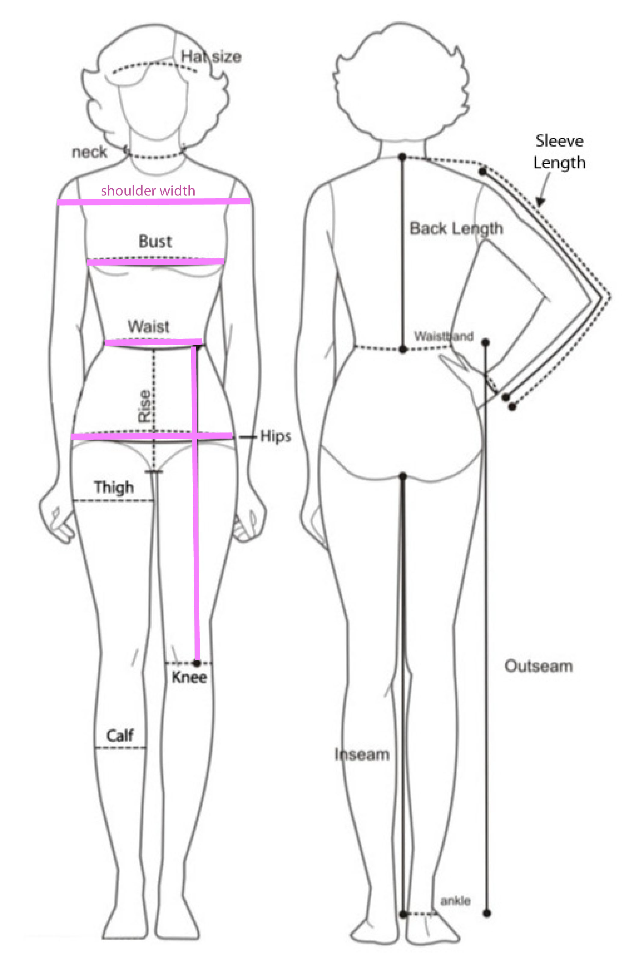 Body Measurement Chart Female